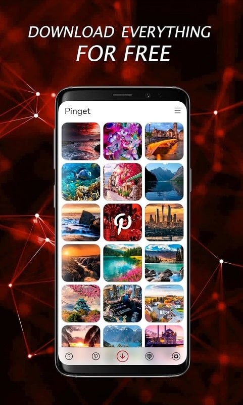 alt: Giao diện đơn giản, dễ sử dụng của Pinterest Video Downloader