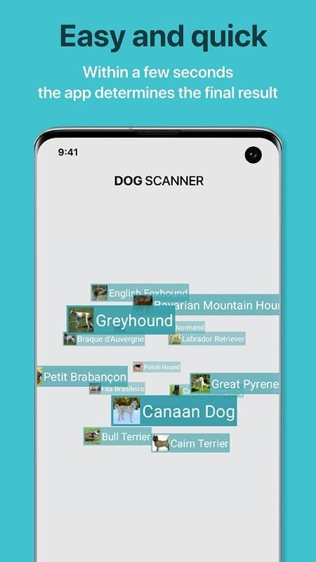 alt: Giao diện ứng dụng Dog Scanner hiển thị thông tin về giống chó