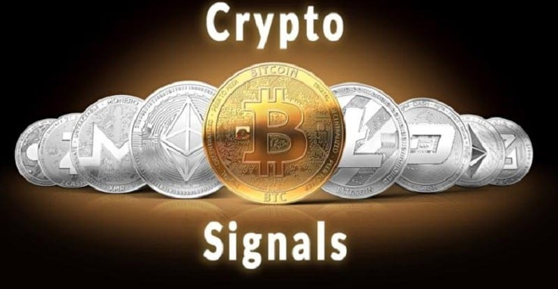 alt: Giao diện ứng dụng Signals - Crypto hiển thị biểu đồ và thông tin thị trường tiền điện tử