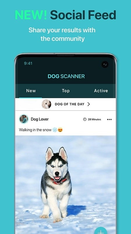 alt: Hình ảnh chú chó đang được nhận diện giống loài bằng ứng dụng Dog Scanner