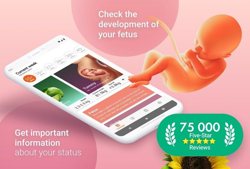 Example of nutritional information for pregnant women within the app