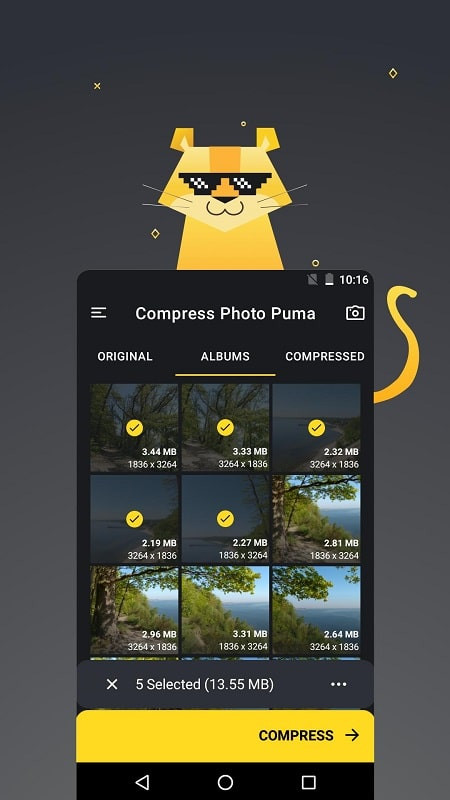 Compressing an image with Puma Image Compressor & Resizer MOD APK