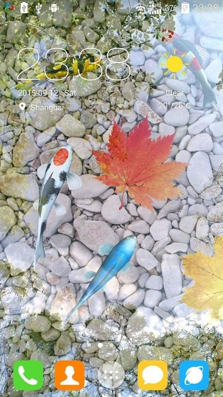 Koi pond live wallpaper with multiple image options