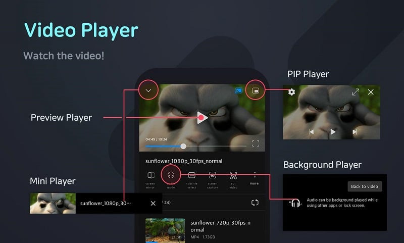 alt text: Chất lượng hình ảnh 4K trên FX Player