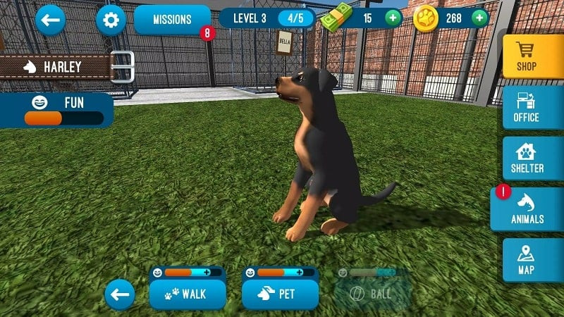 alt text: Chú mèo con đang được chăm sóc trong game Animal Shelter Simulator