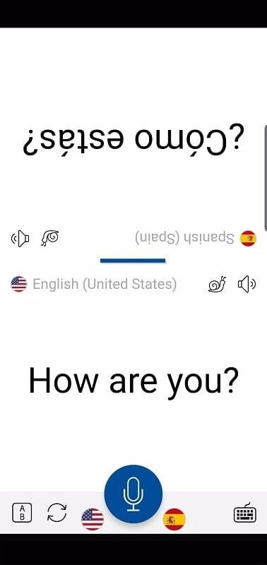 Instant Voice Translate bilingual conversation interface, displaying two languages