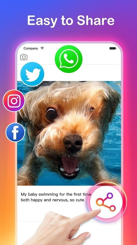 alt text: Giao diện tải xuống video của Video Downloader for Instagram MOD APK