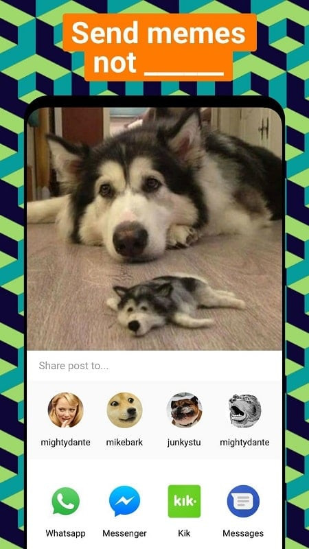 Funny animal picture on 9GAG