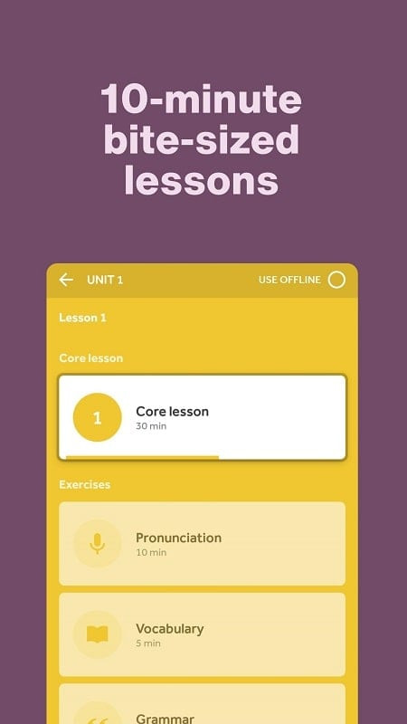 Rosetta Stone vocabulary learning feature