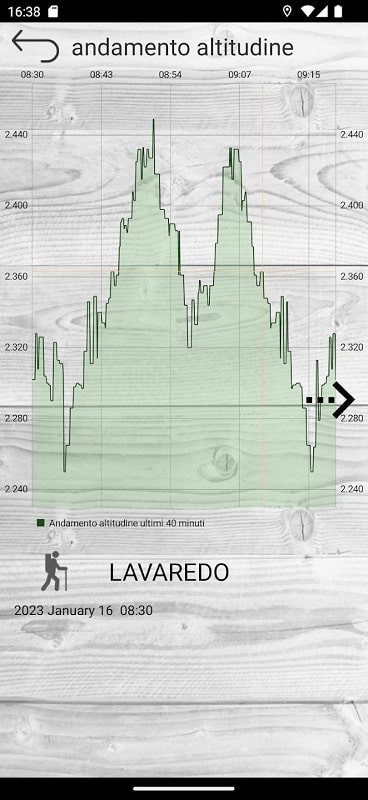 Professional Altimeter MOD APK displaying weather forecast information