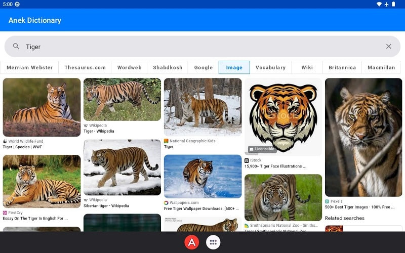 Anek Dictionary app interface
