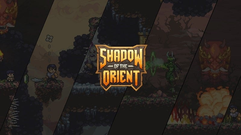 Ảnh bìa game Shadow of the Orient