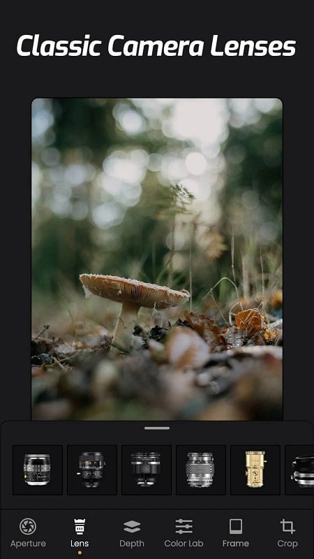 Focus & DSLR Blur–ReLens Camera app effects screenshot