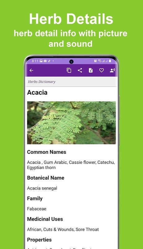 Search interface in the Herbs Dictionary Pro MOD app