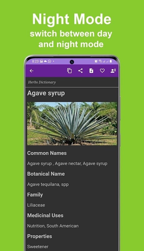 Herbs Dictionary Pro app interface on an Android phone