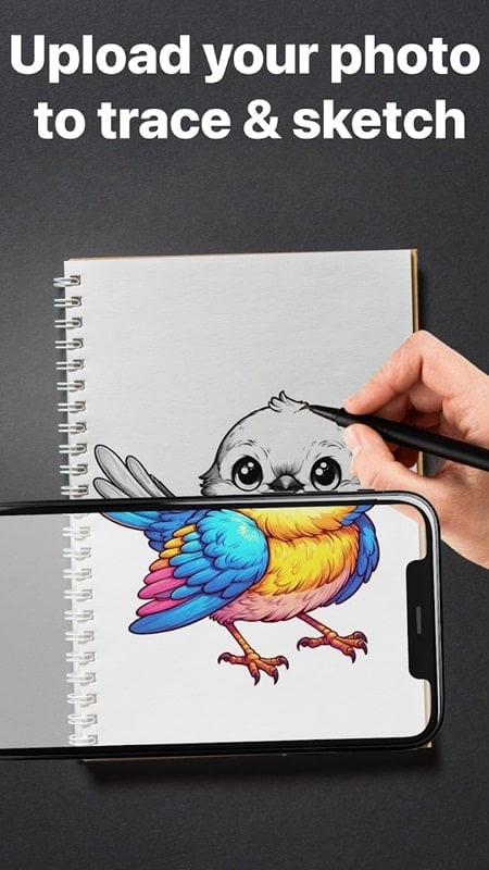 AR Draw Sketch MOD APK customization options