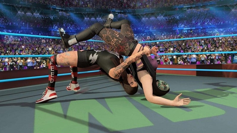 Bad Girls Wrestling Fighter MOD APK features