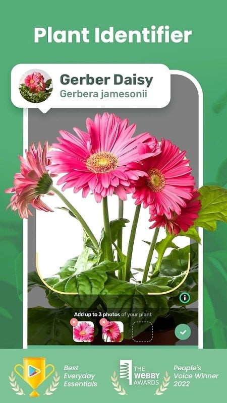 Blossom MOD APK plant identification feature