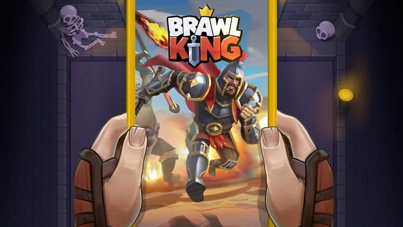 Brawl King - Hình ảnh chiến binh Viking