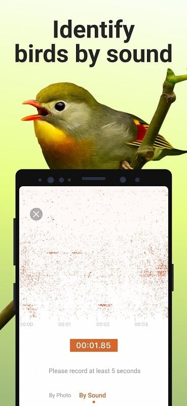 Installing Picture Bird APK