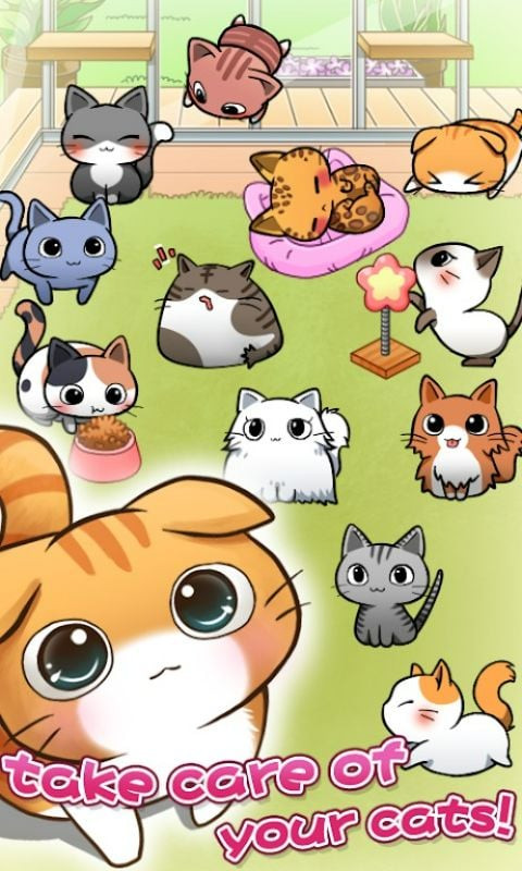 Cat Room trên Android