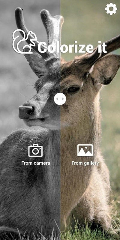 Colorize It MOD APK impressive photo collections