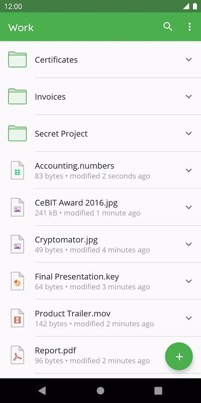 Cryptomator data management features