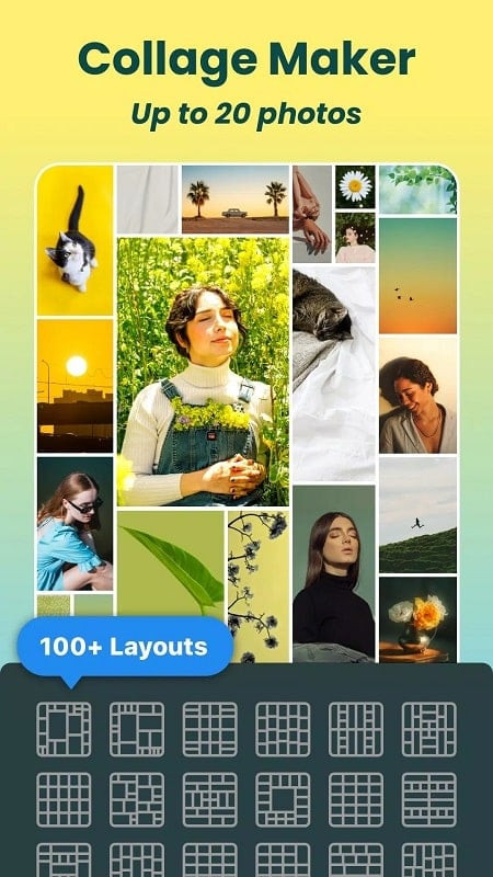 DoFoto App Screenshot