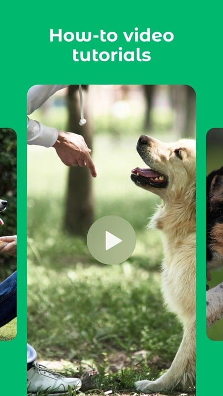 Screenshot of a Dogo training video