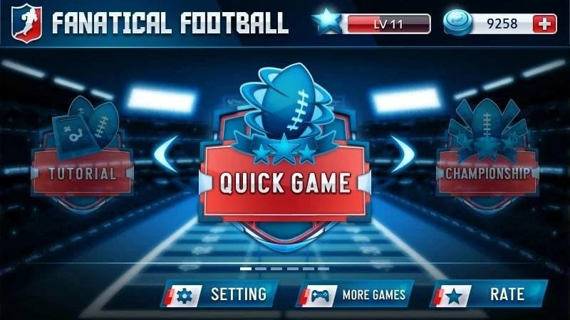 Fanatical Football championship mode gameplay