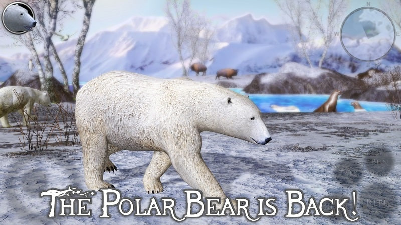 Gấu Bắc Cực trong Polar Bear Simulator 2