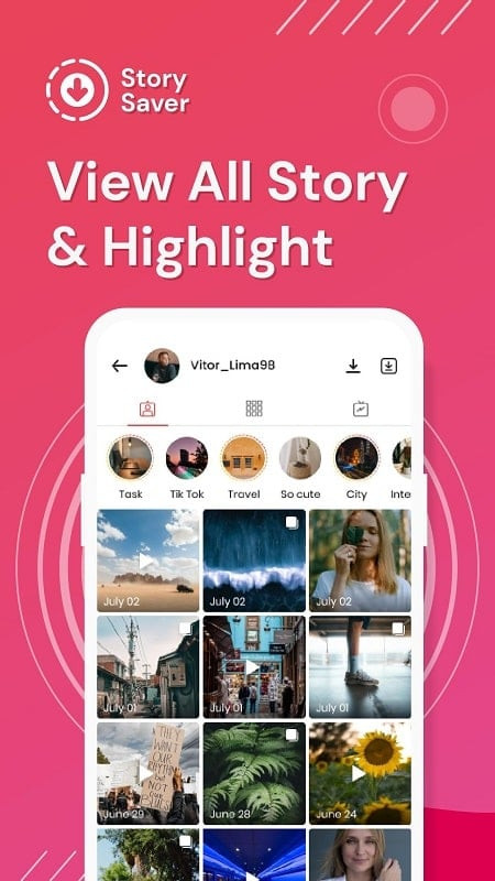 Story Saver MOD APK Interface