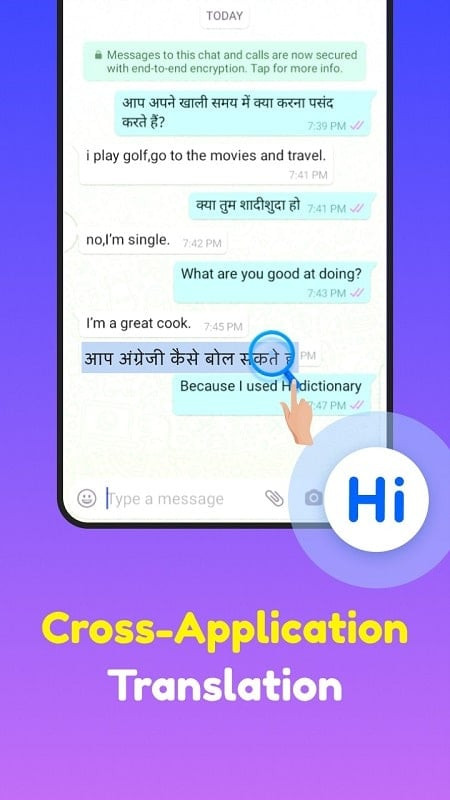 Hi Dictionary MOD APK screenshot