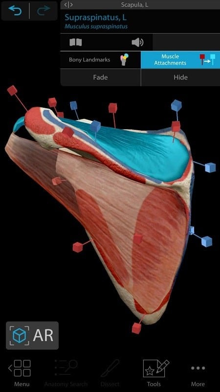 Human Anatomy Atlas 2021 - Công cụ học tập hữu ích