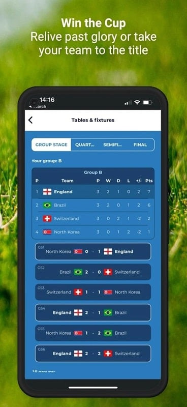 International Football Manager in-game screenshot