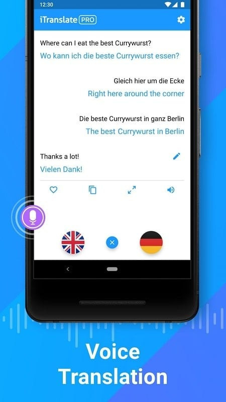 iTranslate Translator & Dictionary MOD APK - User-Friendly Interface