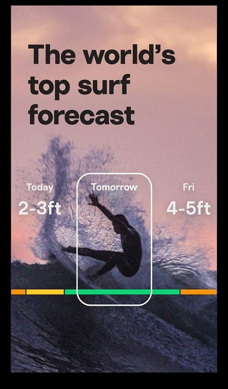 Checking Surf Conditions with Surfline