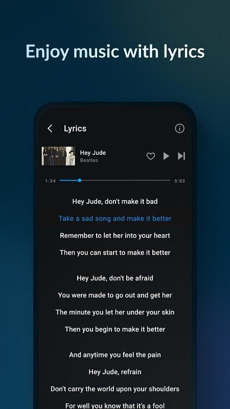 Lyrics Display in Lark Player