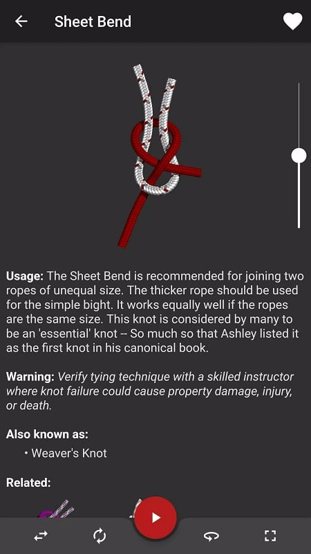 3D knot model in Knots 3D