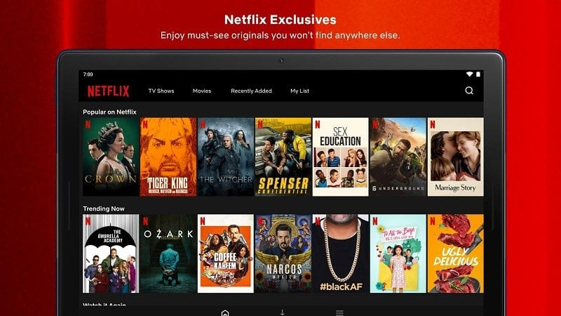 Netflix Premium Features