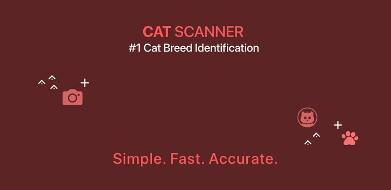 Nhận diện giống mèo với Cat Scanner