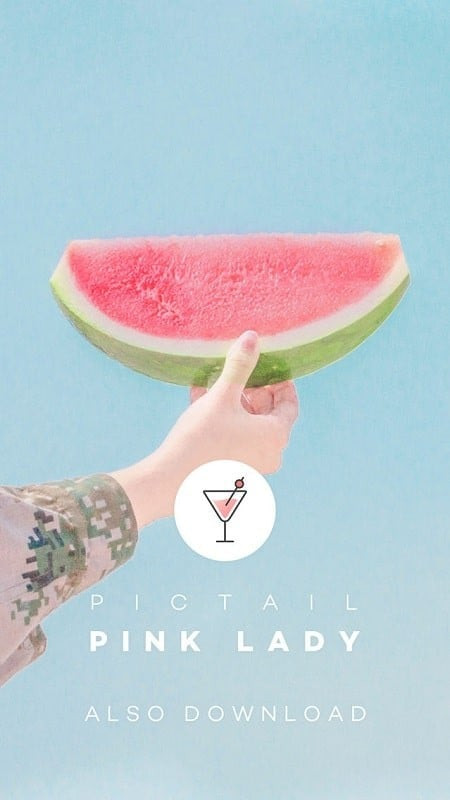 PICTAIL - Mojito App Screenshot Showing High-Resolution Image