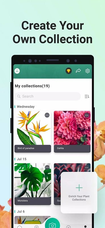 PictureThis app screenshot showing plant care tips