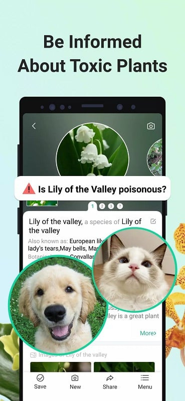 PictureThis app screenshot showing plant details