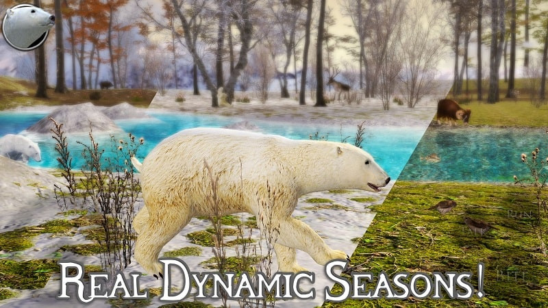 Polar Bear Simulator 2 MOD APK Gameplay