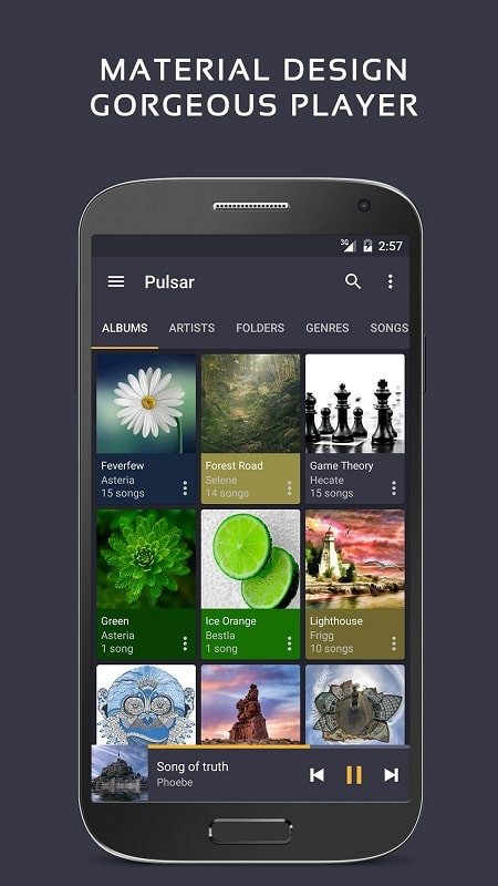 Pulsar Music Player Pro Interface