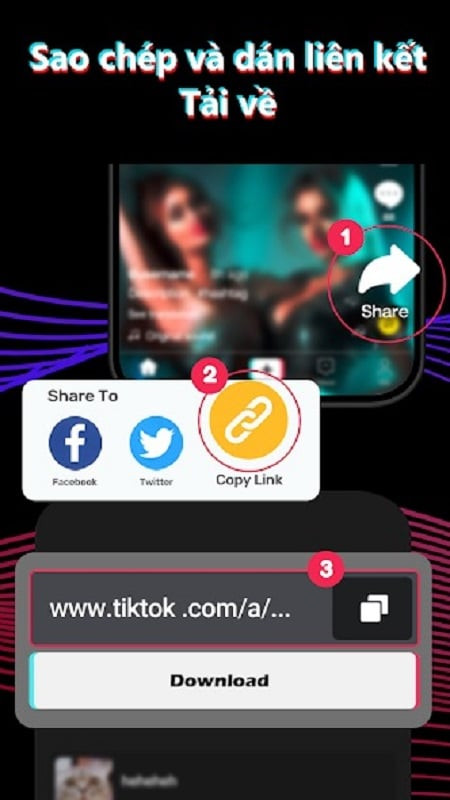 Quản lý video TikTok đã tải