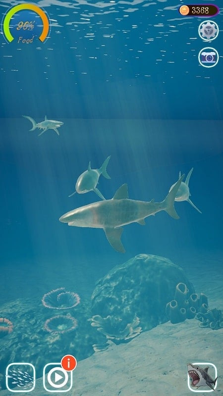 Shark Ocean MOD APK gameplay screenshot