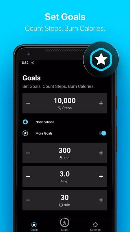 StepsApp Pedometer Customizable Interface