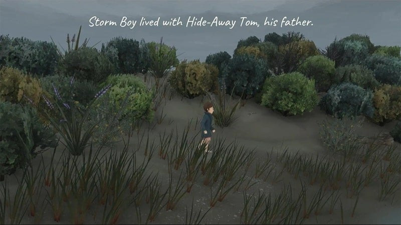 Storm Boy gameplay screenshot